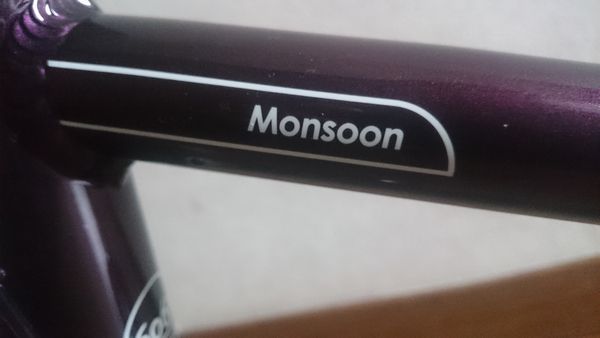 2016-dahon-presto-sl-fnhon-ya18-frame-customized-5